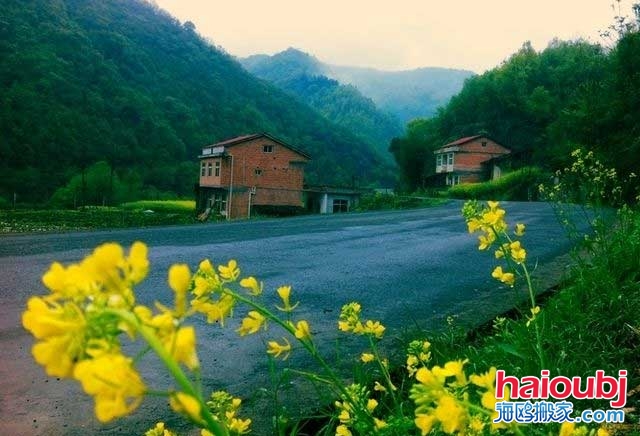 多虧鄉(xiāng)下婆婆來照顧兒媳，才知道家具甲醛超標(biāo)兒子決定搬家啦.jpg