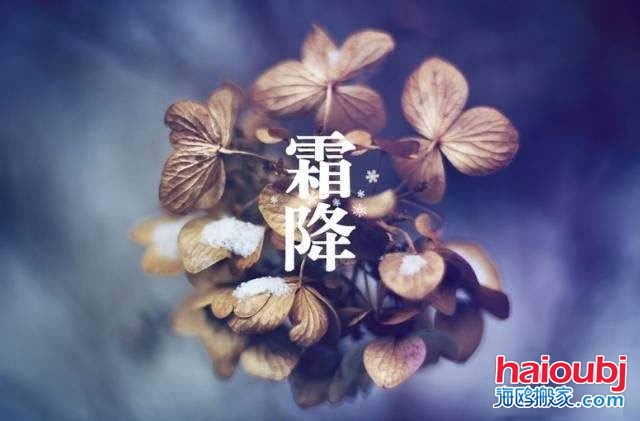 2019年霜降的第二天可以搬家嗎，如果搬家需要注意些什么？.jpg